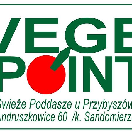 Swieze Poddasze U Przybyszow Andruszkowice ภายนอก รูปภาพ